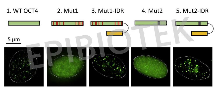 产品细节图片10