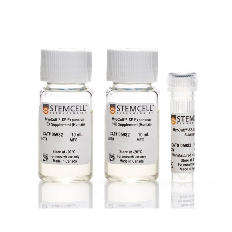 STEMCELL Technologies 05980 MyoCult™-SF Expansion Supplement Kit (Human)/成肌细胞扩增添加物