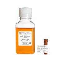 STEMCELL Technologies08610STEMdiff™ Neural Crest Differentiation Kit/STEMdiff™ 神经嵴分化试剂盒