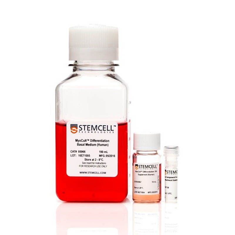 STEMCELL Technologies 05965 MyoCult™ Differentiation Kit (Human)/MyoCult™人成肌细胞分化培养基