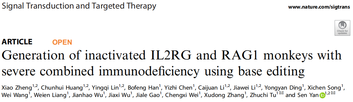 【文献速递】动物活体成像系统在免疫缺陷猴子模型构建中的应用