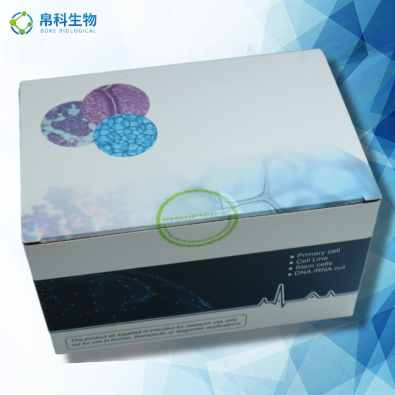AFP 小鼠甲种胎儿球蛋白/甲胎蛋白ELISA检测试剂盒