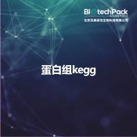 蛋白组kegg