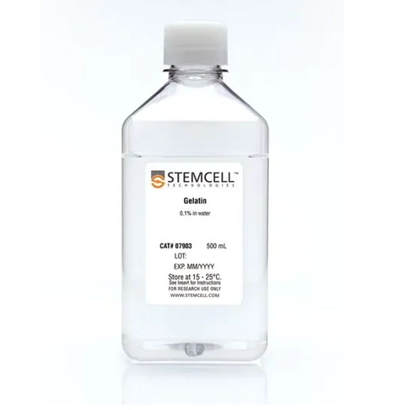 STEMCELL Technologies 07903 0.1% Gelatin in Water（明胶0.1%，溶于水中）