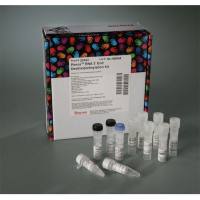 Thermo Scientific20163Pierce RNA 3' End Desthiobiotinylation Kit RNA 3'端脱硫生物素化试剂盒