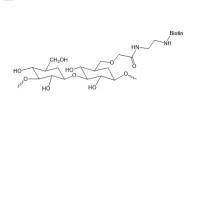 维生素H-葡聚糖  Dextran-Biotin