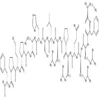 Apelin-17  CAS号：217082-57-0