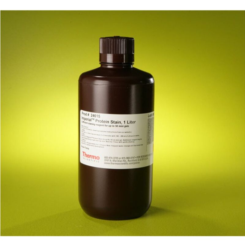 Thermo Scientific24615 Imperial™ Protein Stain
