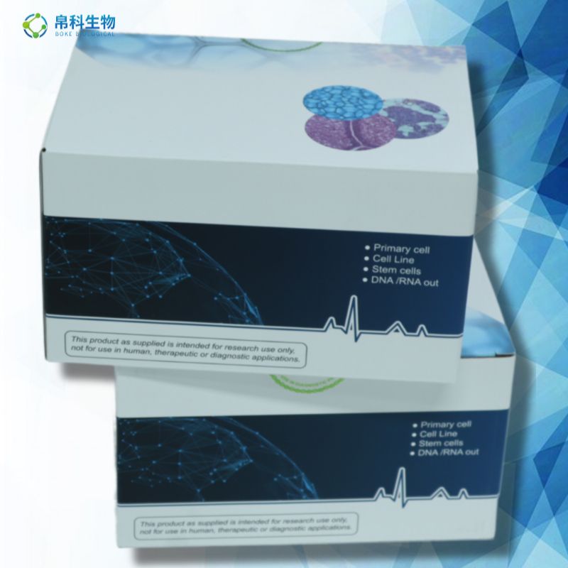 ANG 大鼠血管生长素ELISA检测试剂盒