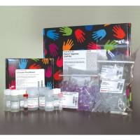 Thermo Scientific26156Pierce Agarose ChIP Kit/琼脂糖ChIP试剂盒