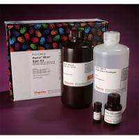 Thermo Scientific24612 Pierce Silver Stain Kit 银染试剂盒