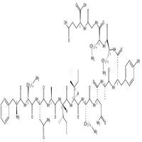 Human β-endorphin (18-31)   CAS号：74216-35-6