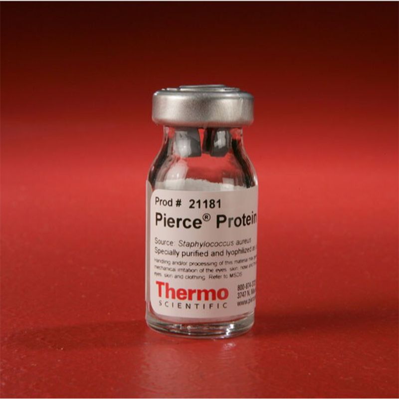 Thermo Scientific 21181Pierce Protein A 蛋白A