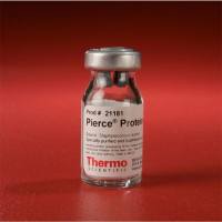Thermo Scientific 21181Pierce Protein A 蛋白A
