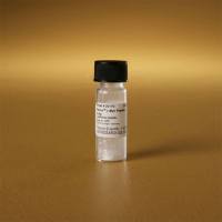 Thermo Scientific20170Pierce c-Myc Peptide/c-Myc肽