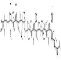 Nα-Acetyl-human-β-endorphin-(1-31)  CAS号：80102-04-1