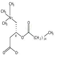 棕榈酰-L-左旋肉碱 CAS号:2364-67-2
