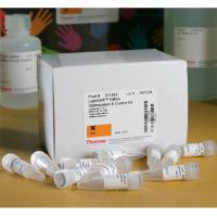 Thermo Scientific 20148 LightShift Chemiluminescent EMSA Kit/化学发光EMSA试剂盒