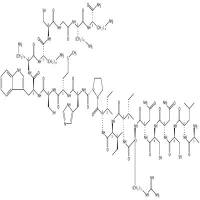 Tertiapin(reduced) CAS号:58694-52-3