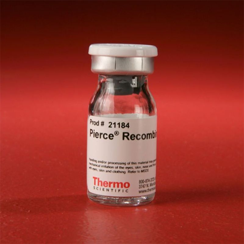Thermo Scientific21184Pierce Recombinant Protein A 重组蛋白A