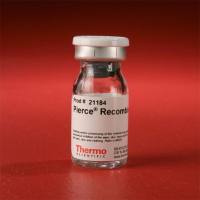 Thermo Scientific21184Pierce Recombinant Protein A 重组蛋白A