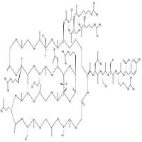 Atrial natriuretic peptide-26(human)   CAS号：102686-43-1