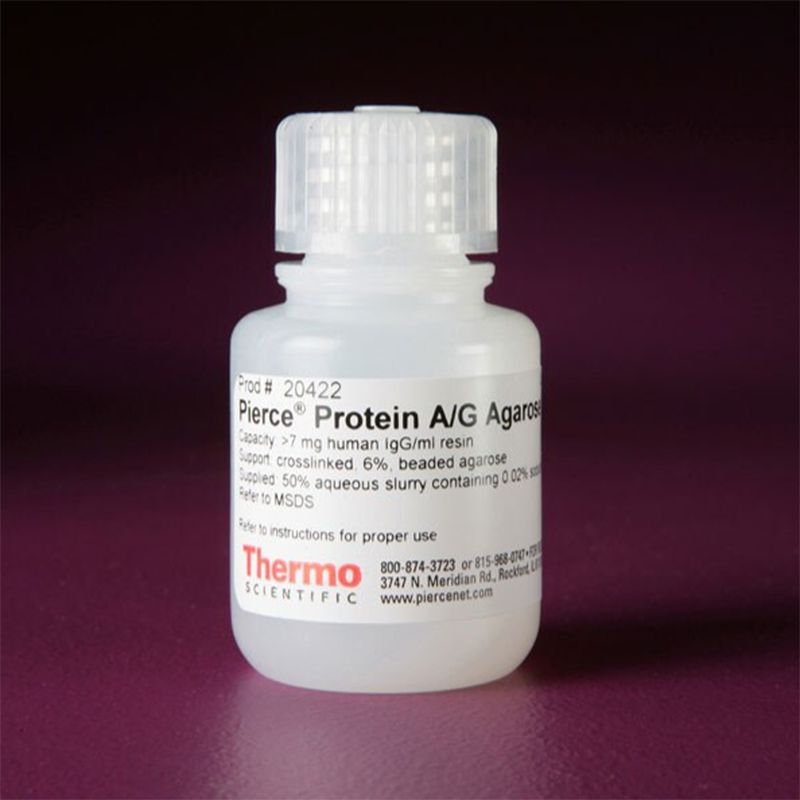Thermo Scientific20422 Pierce Protein A/G Agarose 蛋白A/G琼脂糖