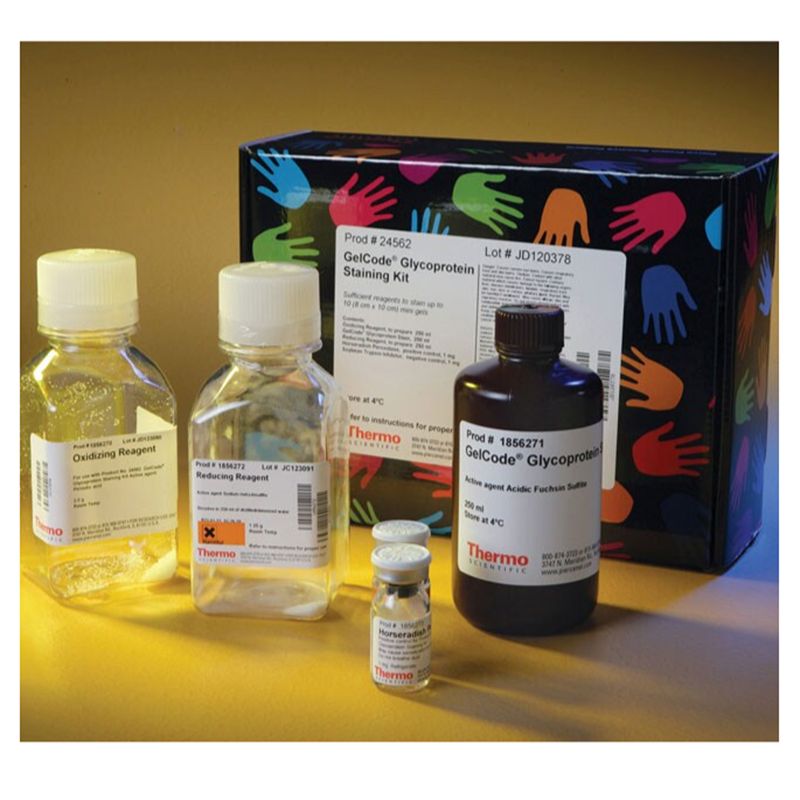 Thermo Scientific24562Pierce Glycoprotein Staining Kit 糖蛋白染色试剂盒
