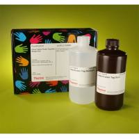 Thermo Scientific24570Pierce 6xHis Protein Tag Stain Reagent Set/6xHis蛋白质标签染色试剂套装