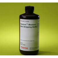 Thermo Scientific21059 Restore™Western Blot Stripping Buffer/抗体剥离液