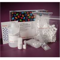 Thermo Scientific21516Pierce GST Protein Interaction Pull-Down Kit GST蛋白相互作用下拉试剂盒