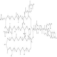 Brain natriuretic peptide-26(pig) CAS号:114547-28-3