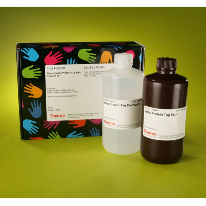 Thermo Scientific24570Pierce 6