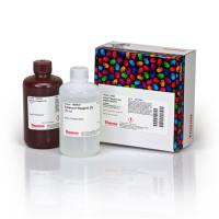 Thermo Scientific21050Pierce Western Blot Signal Enhancer /蛋白质印迹信号增强剂