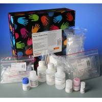 Thermo Scientific26146Pierce Classic IP Kit 经典IP试剂盒
