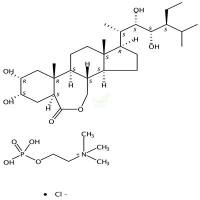 表高油菜素内酯  CAS号：110369-52-3