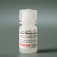 Thermo Scientific20228Pierce Monomeric Avidin Agarose 单体亲和素微珠