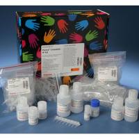 Thermo Scientific26147 Pierce Crosslink IP Kit /交联IP试剂盒