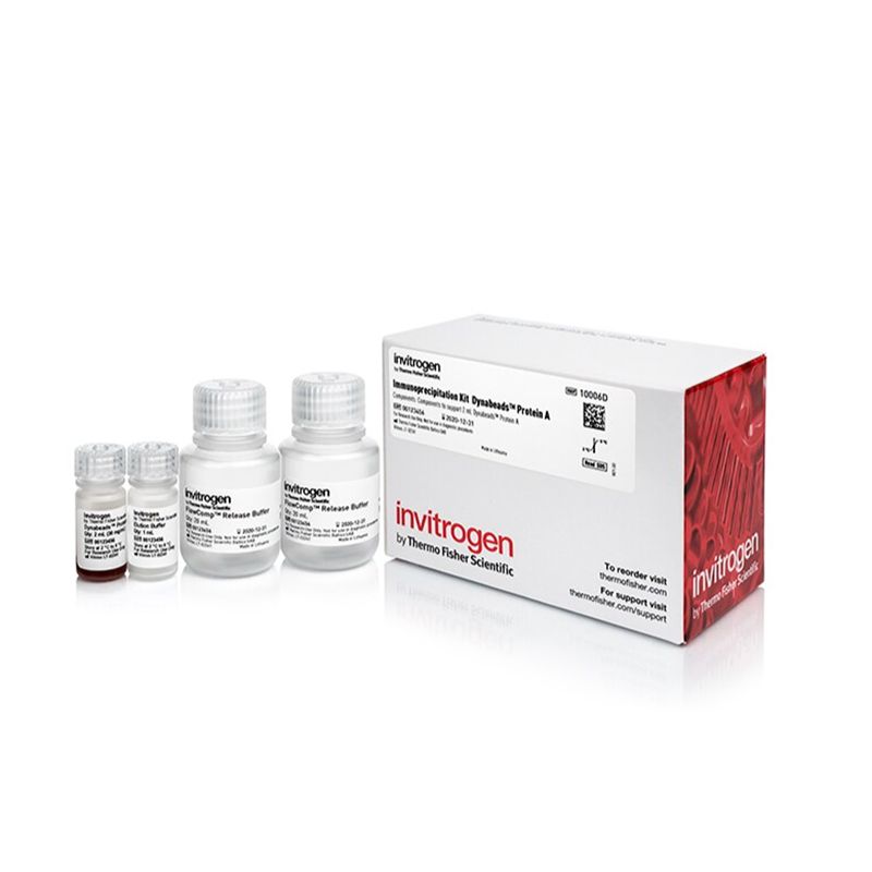 赛默飞Invitrogen10006D Dynabeads™ Protein A Immunoprecipitation Kit/Dynabeads™蛋白A免疫沉淀试剂盒
