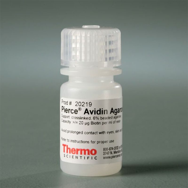 Thermo Scientific20219 Pierce Avidin Agarose/亲和素琼脂糖