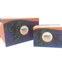 七色多重荧光免疫组化染色试剂盒（plus）（抗兔二抗）