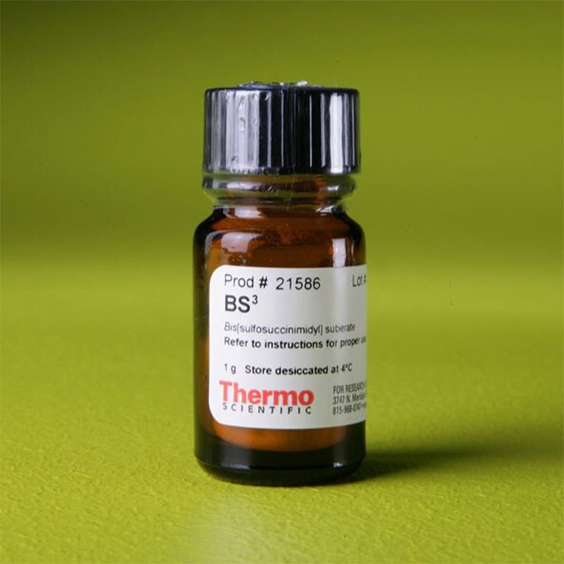Thermo Scientific 21586 BS3 (bis(sulfosuccinimidyl)suberate)/BS3（双（磺基琥珀酰亚胺基）硫酸氢盐）