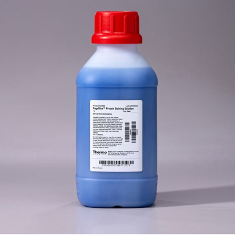 Thermo Scientific24620PageBlue