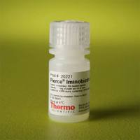Thermo Scientific20221Pierce Iminobiotin Agarose 异生物素琼脂糖
