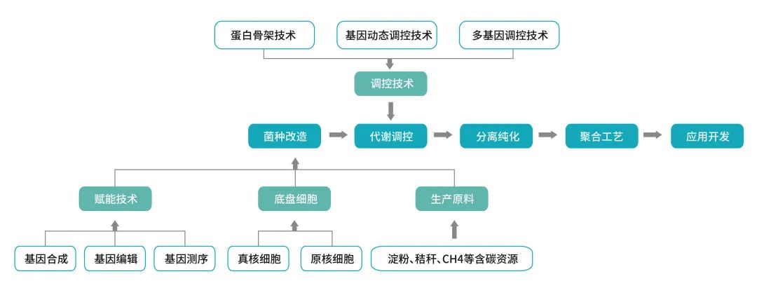 DNA合成与组装解决方案