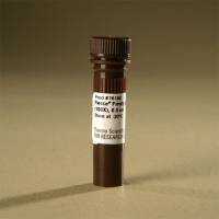 Thermo Scientific 16180Pierce Firefly Signal Enhancer (100X) 萤火虫信号增强器(100X)