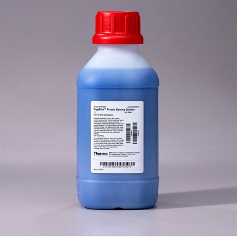 Thermo Scientific24620PageBlue™ Protein Staining Solution