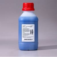 Thermo Scientific24620PageBlue™ Protein Staining Solution