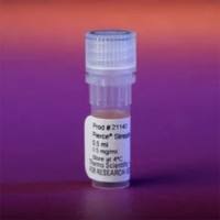 Thermo Scientific21140Pierce Streptavidin Poly-HRP 链霉亲和素聚HRP
