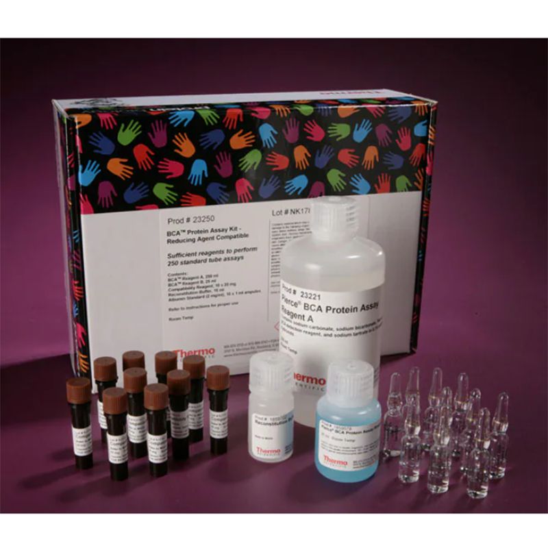 Thermo Scientific23250Pierce™ BCA Protein Assay Kit - Reducing Agent Compatible/Pierce™BCA蛋白测定试剂盒-兼容还原剂
